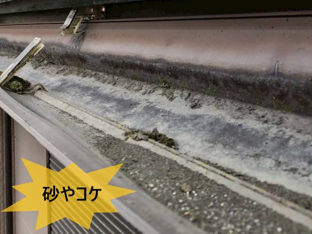 軒樋　砂やコケ